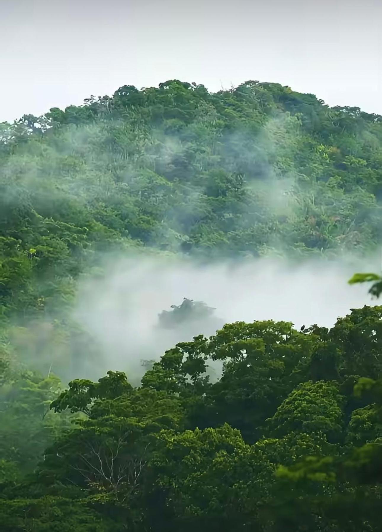 Ranchos De Chalia Panama 호텔 포르토벨로 외부 사진