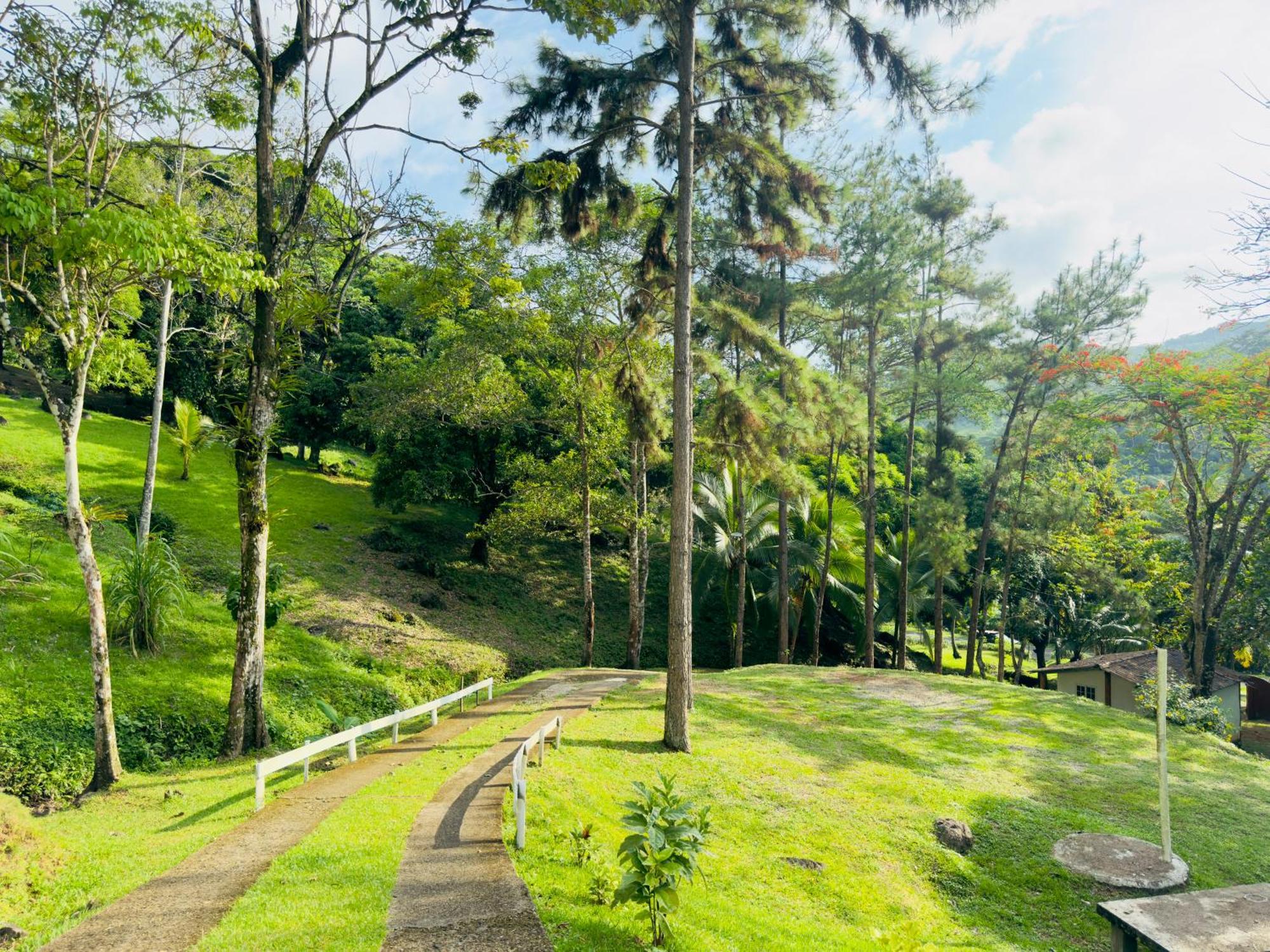 Ranchos De Chalia Panama 호텔 포르토벨로 외부 사진