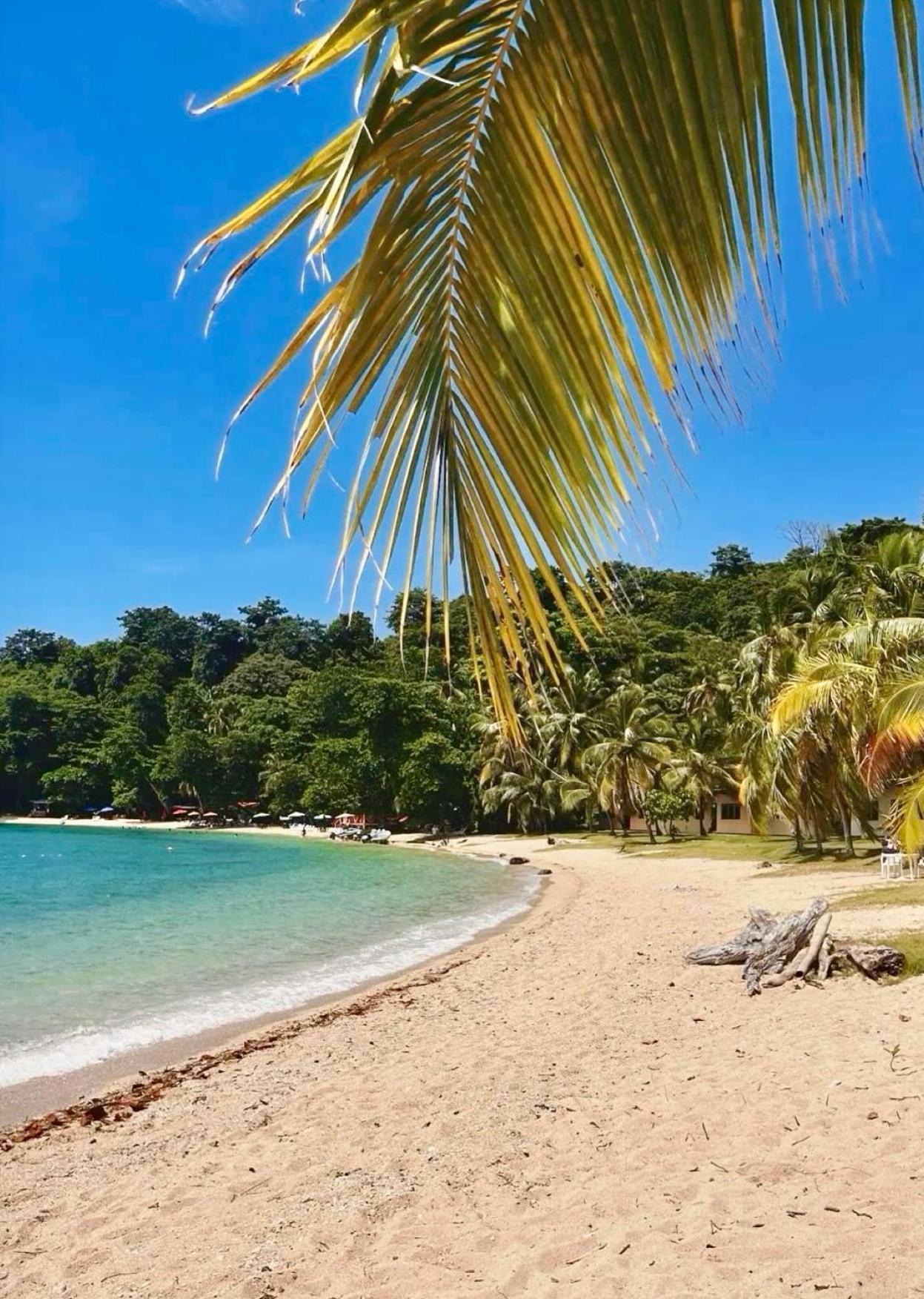 Ranchos De Chalia Panama 호텔 포르토벨로 외부 사진